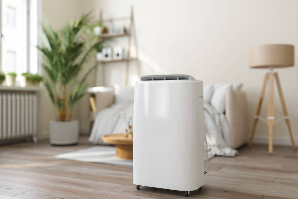 Best Air Filters and Purifiers in Palmview South, TX